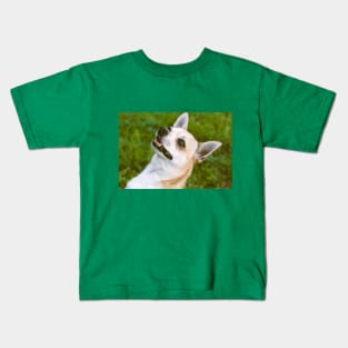 Chiwawa Kids T-Shirt